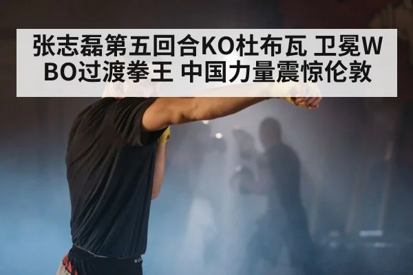 张志磊第五回合KO杜布瓦 卫冕WBO过渡拳王 中国力量震惊伦敦