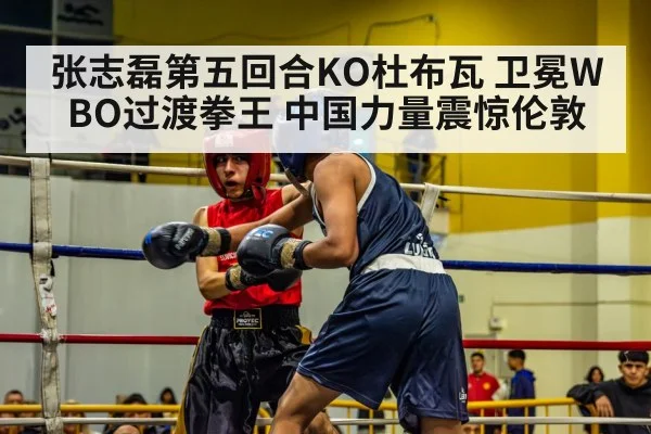 boxing ring match